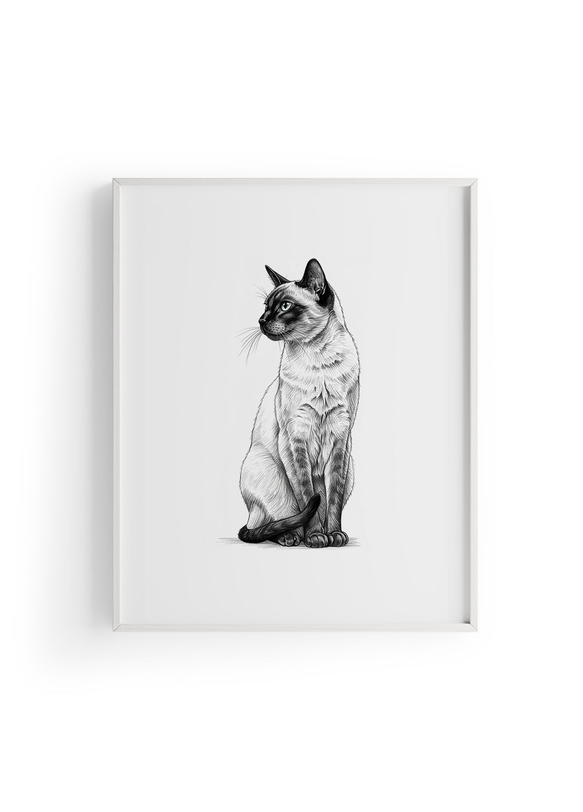 Karakalem Koleksiyonu Kedi Posteri
