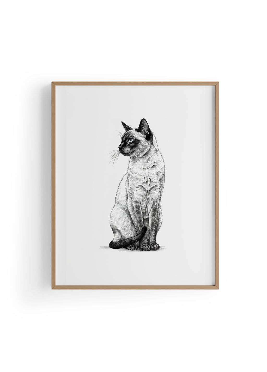 Karakalem Koleksiyonu Kedi Posteri