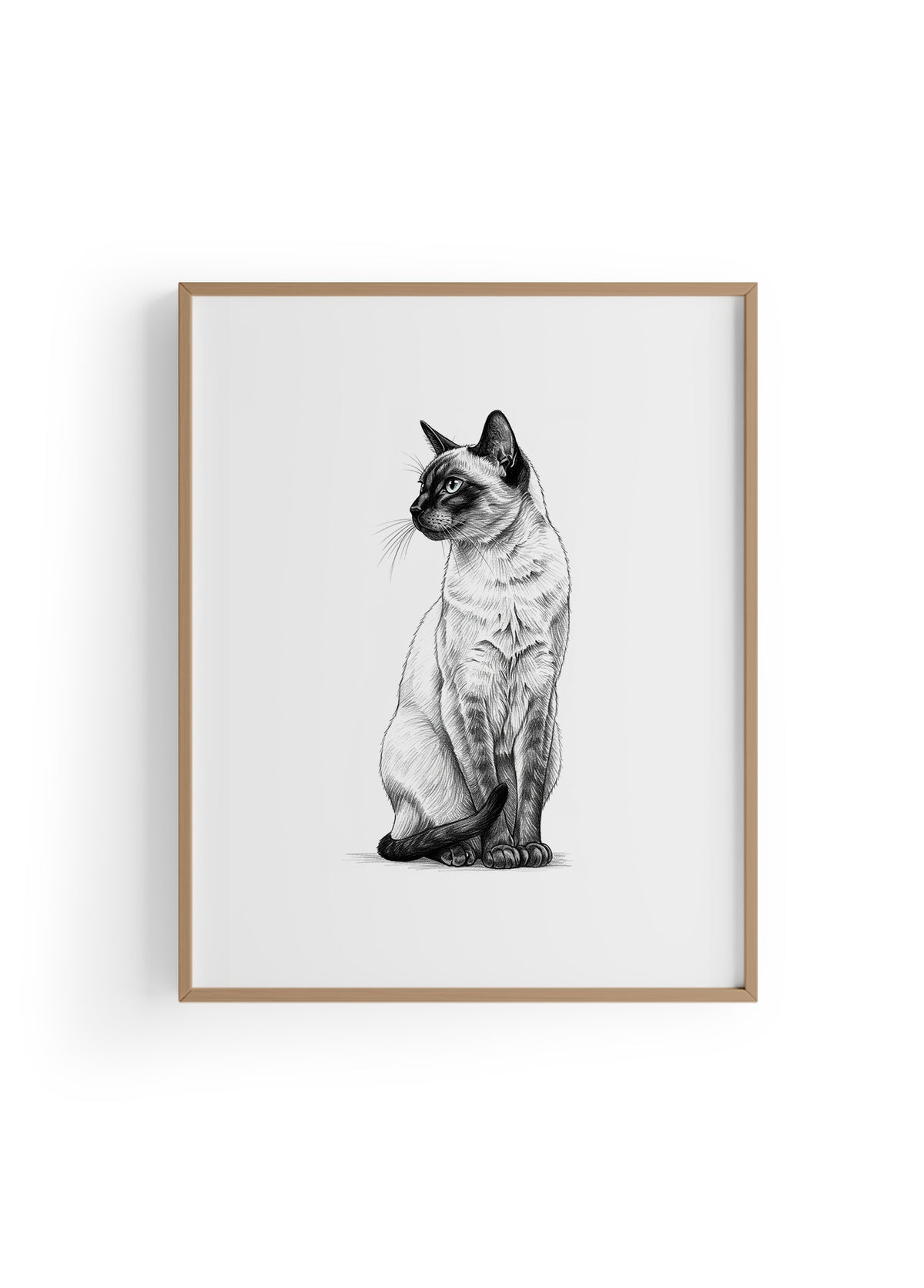 Karakalem Koleksiyonu Kedi Posteri
