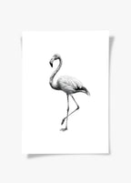 Karakalem Koleksiyonu Flamingo Posteri