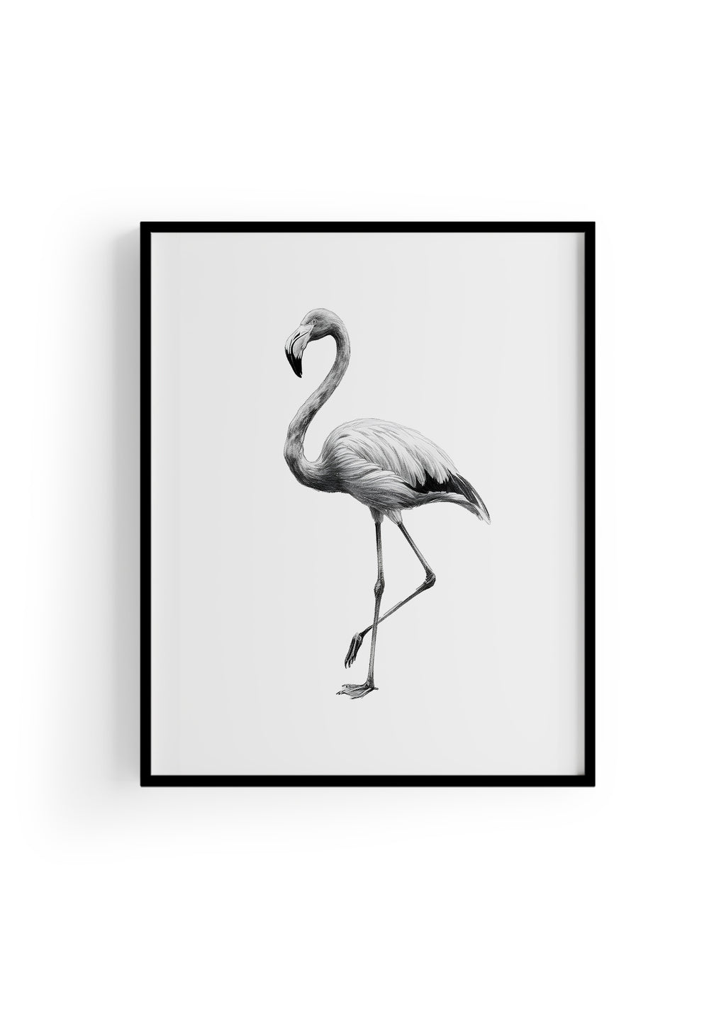 Karakalem Koleksiyonu Flamingo Posteri