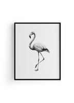 Karakalem Koleksiyonu Flamingo Posteri