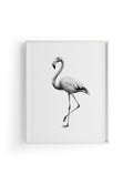 Karakalem Koleksiyonu Flamingo Posteri
