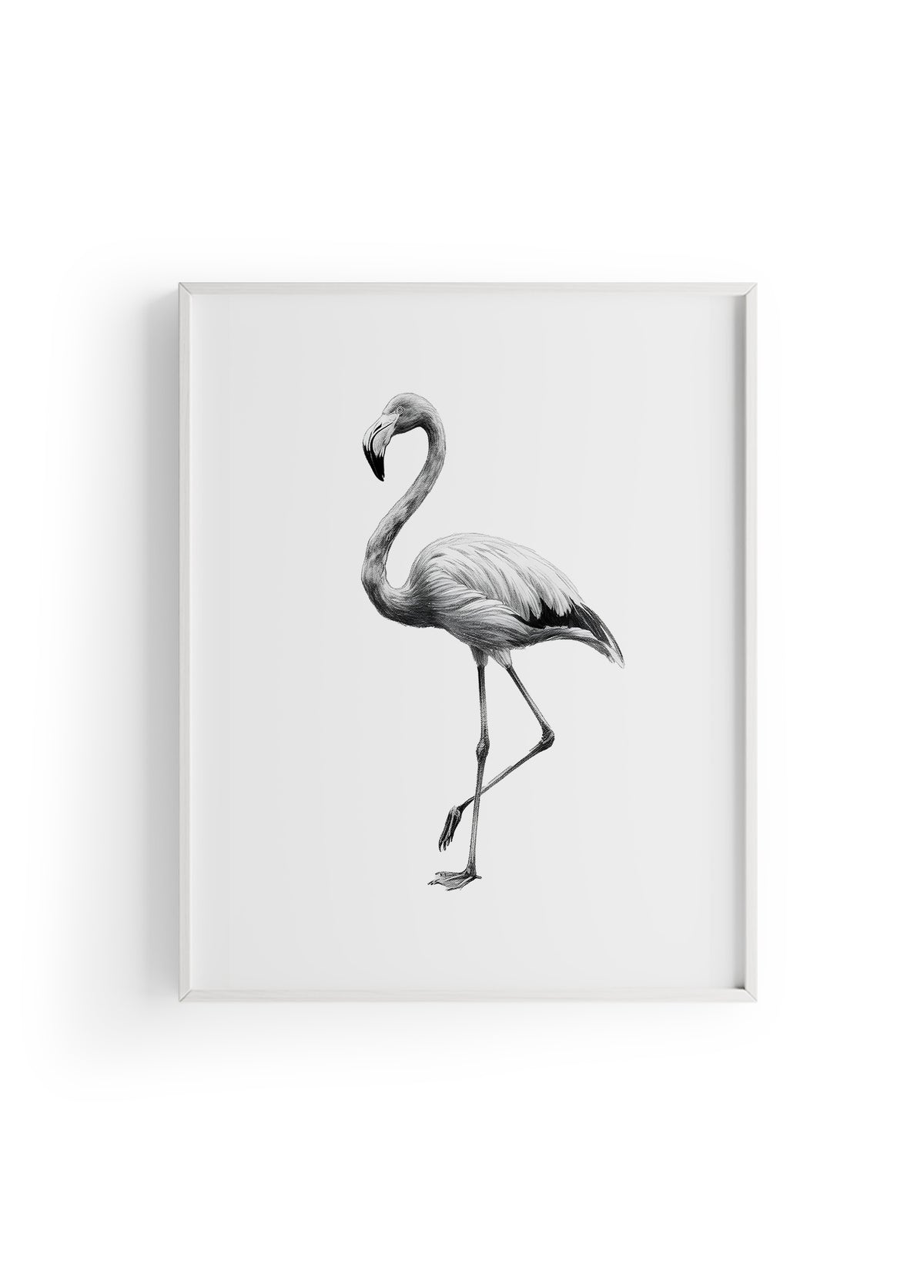 Karakalem Koleksiyonu Flamingo Posteri
