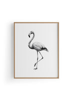 Karakalem Koleksiyonu Flamingo Posteri