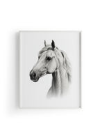Karakalem Koleksiyonu At Posteri